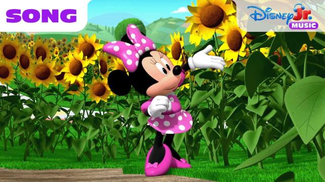 "Sunflower Song" Song from Mickey Mouse Clubhouse+! 🌻🎵 | @disneyjr