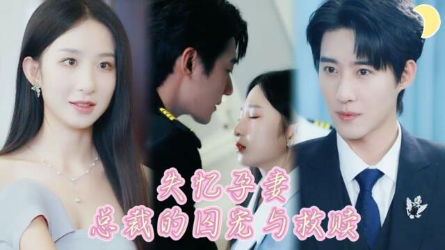 【FULL】失憶孕妻：總裁的囚寵與救贖🔥#李悦暄 #赵振东 失憶千金爲救病兒，被迫再懷豪門二胎。偏執總裁步步緊逼：“偷生一胎，還想逃？”[JDDJ]