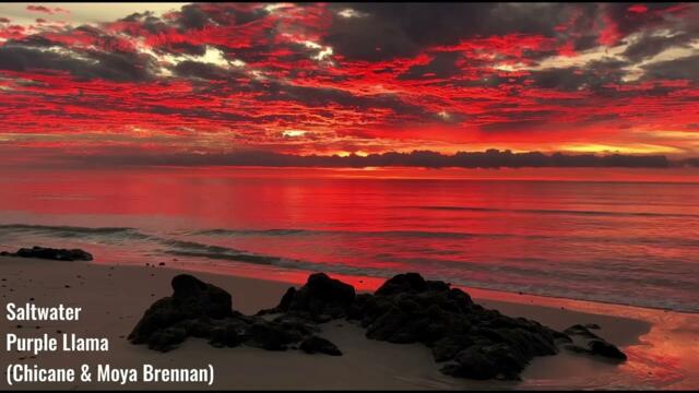 Chicane & Moya Brennan – Saltwater (Purple Llama Remix | 2025)