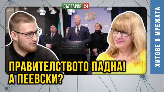 Протестите свалиха правителството. Кой ще се възползва от това?