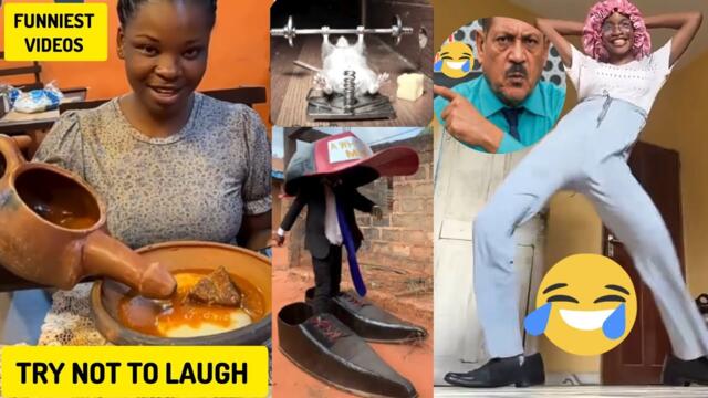 Really Funny Try Not to Laugh Videos 😂 | New Funny Videos Compilation (Part 38)