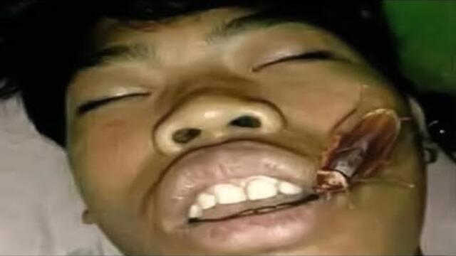 You laugh , you eat 🙂‍↕️