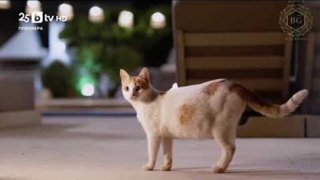 Ергенът: Любов в рая - Епизод 13