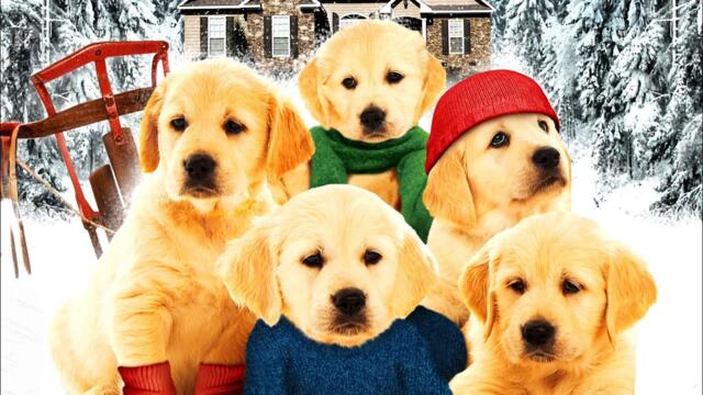 FULL MOVIE | Golden Winter (HD) | Family, Adventure | English