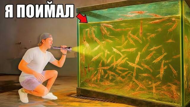 Я поймал 1000 криветок в полнолуние!