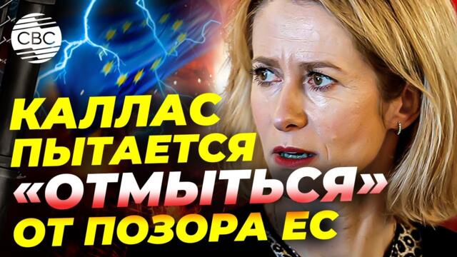 Еврочиновники полностью дискредитировали важную международную структуру