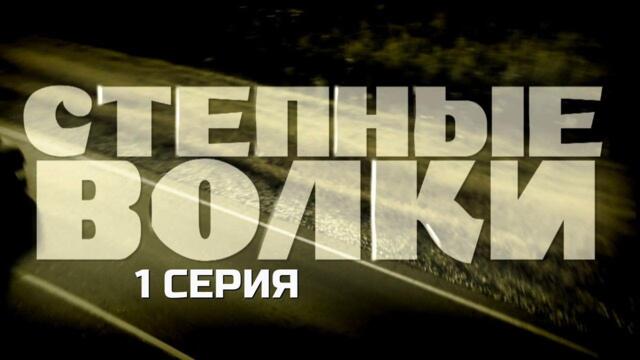 ЖЁСТКИЙ РУССКИЙ КРИМИНАЛ! СТЕПНЫЕ ВОЛКИ | 1 СЕЗОН 1 СЕРИЯ