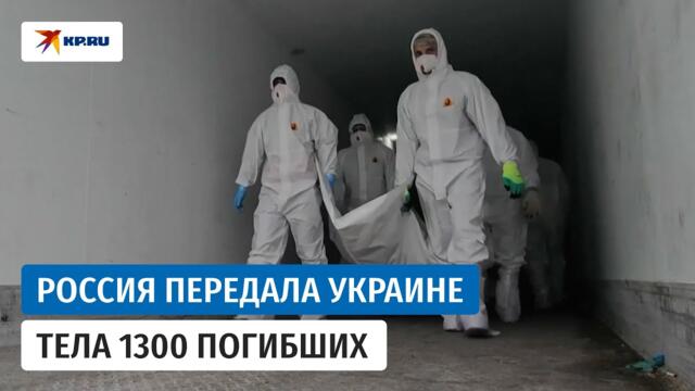 Россия передала Украине тела 1300 погибших бойцов ВСУ
