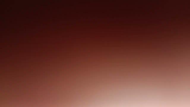 Portrait Video Baimint Nanny Canon Natasha Lyonne