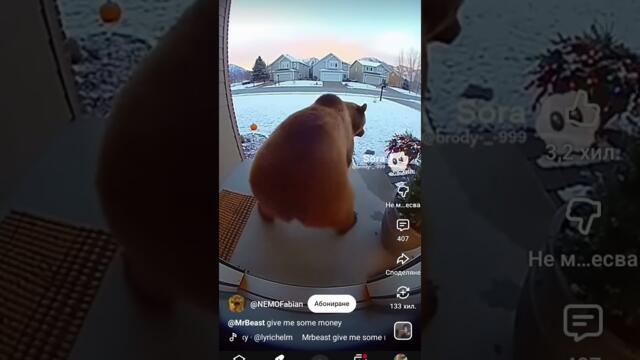 баба меца когато играй кючек