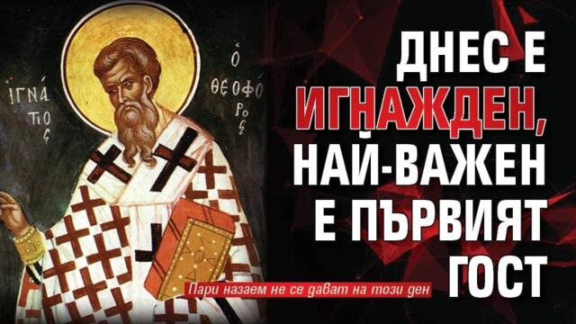 Днес е Игнажден - 20.12.2025 Весели празници - От Игнажден до Коледа!