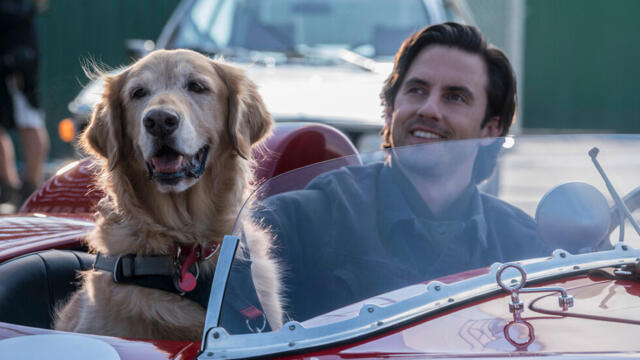 Невероятният живот на Енцо (синхронен екип, дублаж по Нова телевизия на 22.12.2025 г.) (запис)