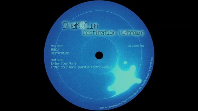 Shakolin – Enter Your Word (Random Factor Remix)