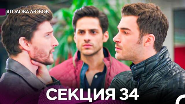 Ягодова Любов 34 Секция (Български Дублаж)