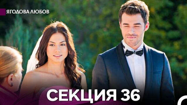 Ягодова Любов 36 Секция (Български Дублаж)