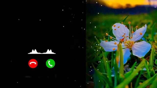 New Ringtone Mp3 Ringtone Hindi Ringtone caller tune romantic ringtone