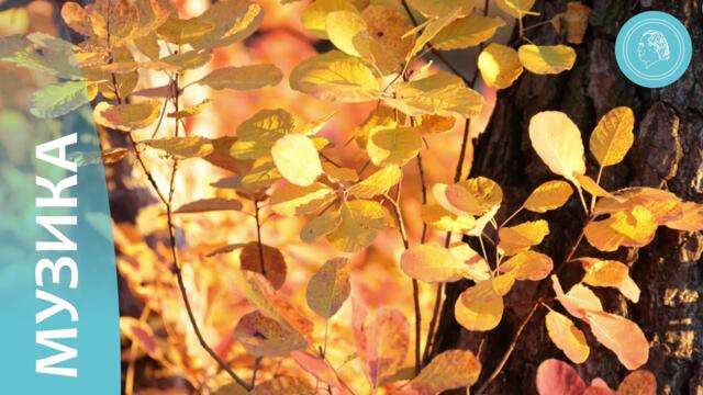 Свързване с Бога чрез есенни пейзажи и музика от приятелите на Бруно Грьонинг“