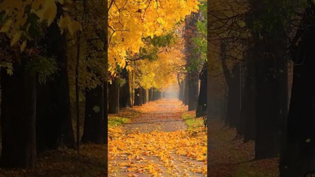 НИКОЛАЙ КОЛЕВ: И РИСУВА С ЧЕТКА ОТ МЪГЛА