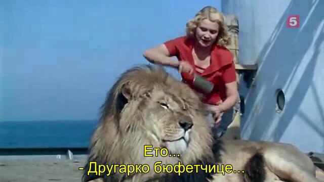 Необикновен рейс (Полосатый рейс 1961) 2/2