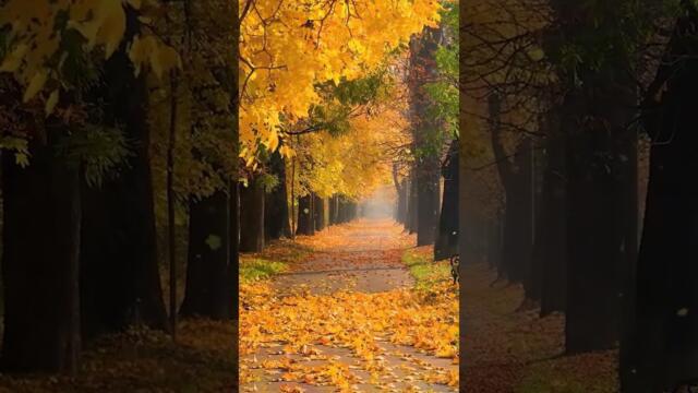 НИКОЛАЙ КОЛЕВ:  И РИСУВА С ЧЕТКА ОТ МЪГЛА