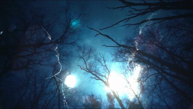 A Wilhelm Scream "Midnight Ghost" (OFFICIAL VIDEO)