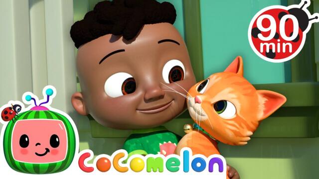 Pets Are Your BEST Friends!🐶🐱🐹 | CoComelon | Animals for Kids | Sing Along | Learn about Animals