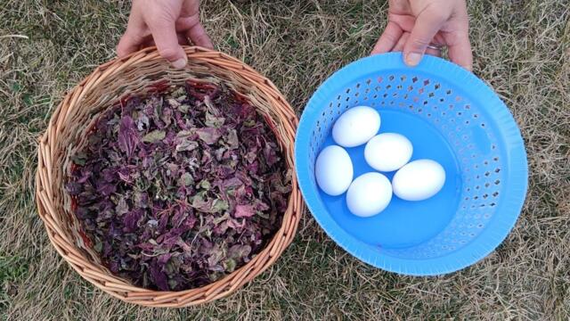 Kashmiri style hokh woste haakh te thool recipe 😋(sun dried red spinach with 🥚 eggs )👍