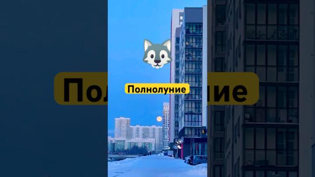 Полнолуние🌕