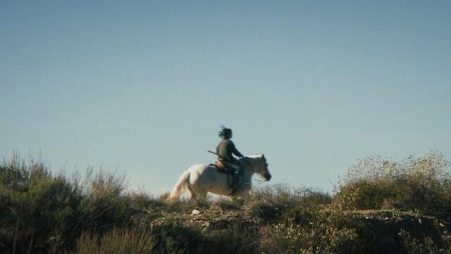 Poison The Well - Thoroughbreds (OFFICIAL MUSIC VIDEO)