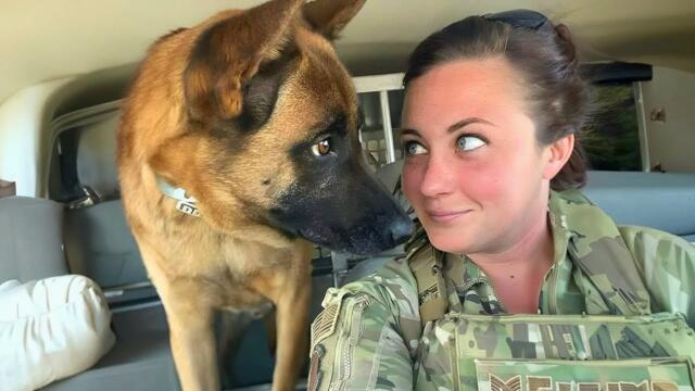 When God Sends You a Comedian Dog 😂 Funniest Dogs Video 2026