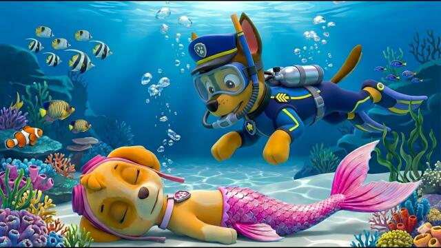 Hurry Up! CHASE Saves SKYE Mermaid from the Bottom of the Sea!? | Paw Patrol 3D Animation |Rainbow 3