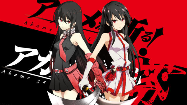 Akame ga Kill! - Ep.15 BG subs
