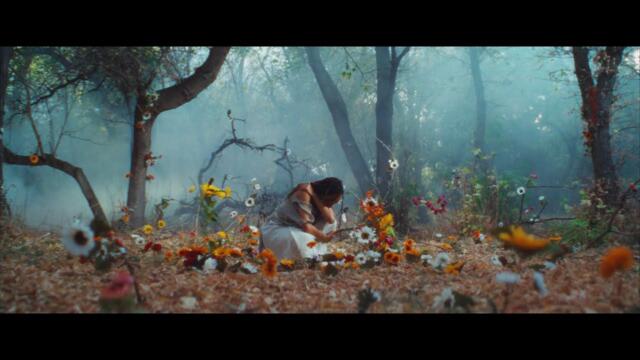 Of The Trees - Dolori (Official Music Video)