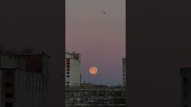 Нальчик КБР полнолуние