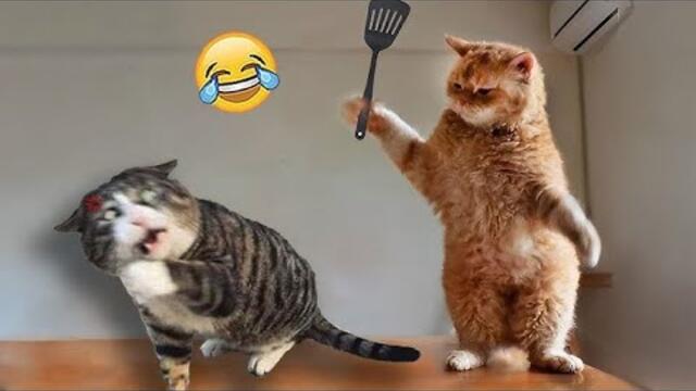 The Funniest Animal Moments on the Internet!🐾 #46