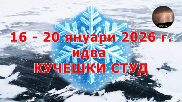 Кучешки СТУД в България (16 - 20 януари 2026 г.)