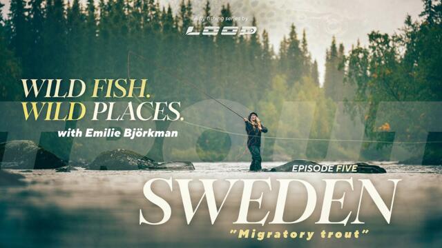 Loop Presents: Wild fish. Wild Places | Ep.5 Fly fishing in Sweden with Emilie Björkman
