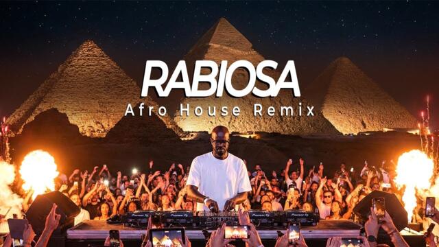 Shakira, Pitbull - Rabiosa (Coffee Afro House Remix)