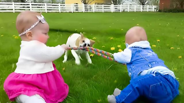 When Dog and Babies Grow Together as Siblings 🤣 Funny Babies & Dog Moments || Little Boss