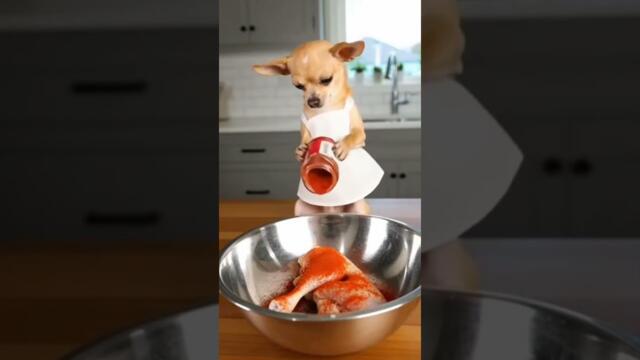 Funny dogs 🐶😂😂😂😂 #funny V-27