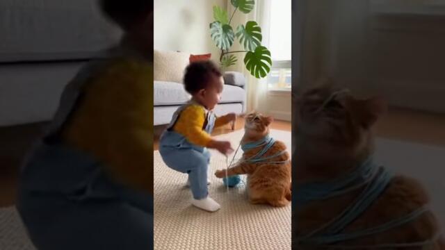 Baby Tries to "Help" Cat Untangled from Yarn Ball