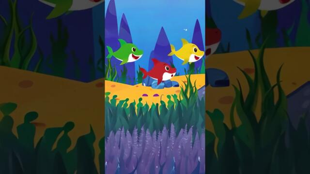Finding doctor shark 🦈 | #babyshark #shorts