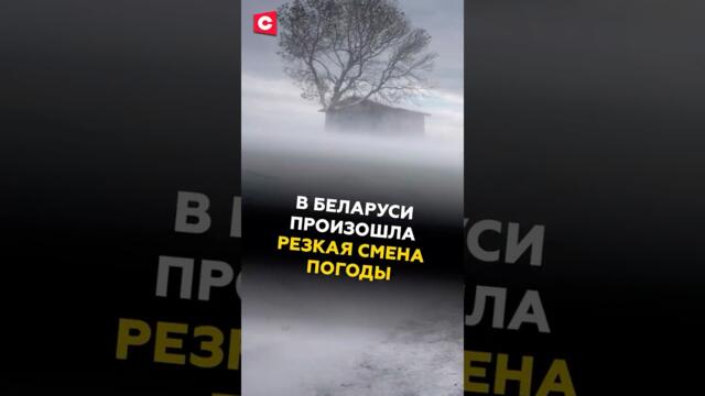 В Беларуси произошла резкая смена погоды #беларусь #погода #новости #чп