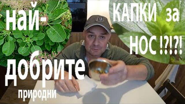 НАЙ-ДОБРИТЕ КАПКИ ЗА НОС ОТ БИЛКИ BEST NOSE DROPS #herbs #plants #naturalremedy #runningnose