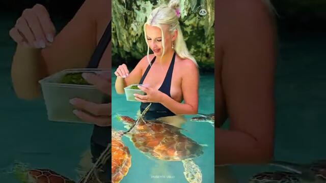 10 Big-Hearted People Who Saved Animals ❤️ Part 16