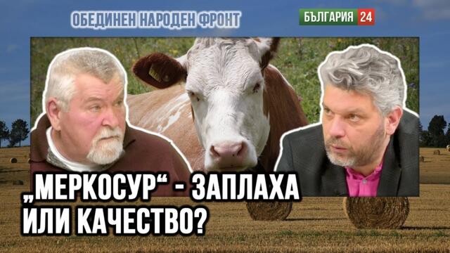 Държавите от Меркосур са на светлинни години по производство и качество преди нас! Ще ни пометат ли?