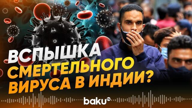 🔴💥 Власти Индии пытаются сдержать вспышку опасного вируса - Baku TV | RU