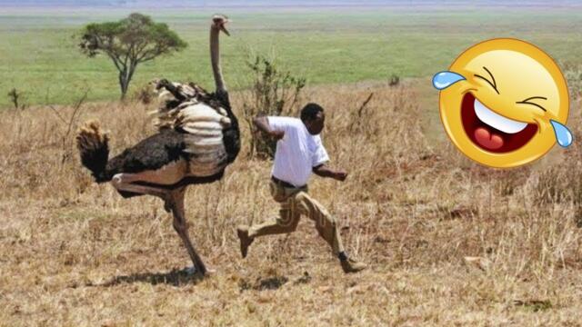 Best Funny Videos of the Month - Fails & Hilarious Moments 🤣🤣 TRY NOT TO LAUGH 😂 #2