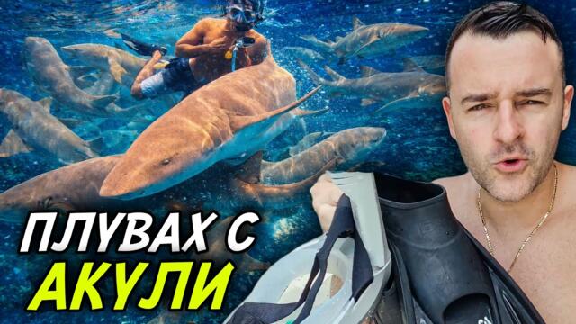Плувах с АКУЛИ на Малдивите - ГРЕШКА или МЕЧТА?