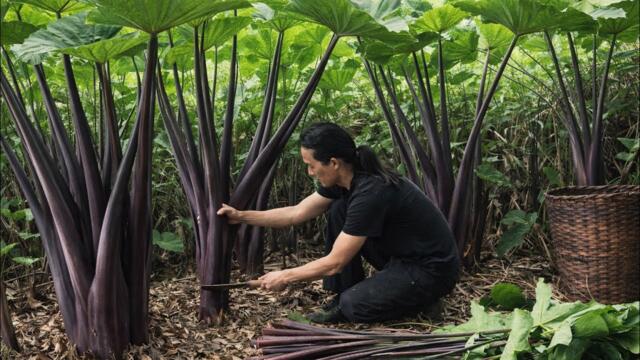 Mr. Zon uses the itchy wild taro plant to make a traditional Vietnamese dish.